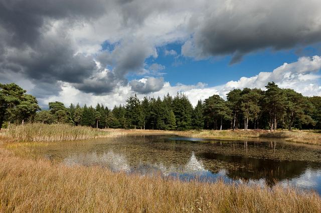 30 Hoge Veluwe.jpg